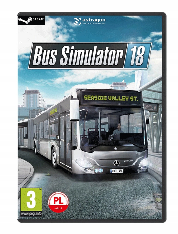 BUS SIMULATOR 18 PUDEŁKO BOX PC PL