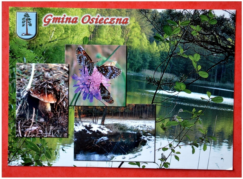 Gmina Osieczna.Jezioro Wielkie Zdrójno / herb