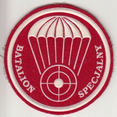 Batalion Specjalny NJW (02)