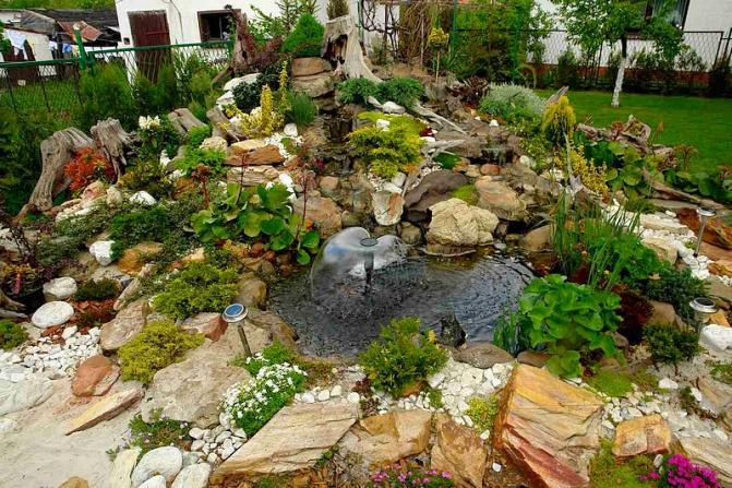 Kompletny ogród wodny z oczkiem 1000 litrów AADG