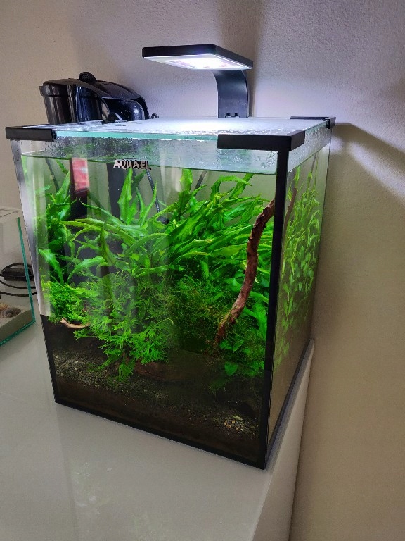 Akwarium Aquael 25l Led Plant Dojrzałe
