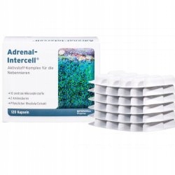 Dr. Enzmann Adrenal-Intercell Stres Nerwica 120 k