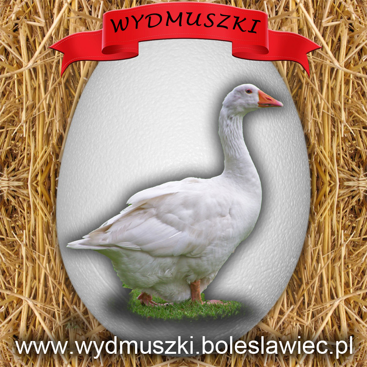 Wydmuszki gęsie pow. 8,5 cm do 9,5 cm.