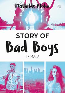 Story of Bad Boys 3 Ebook.