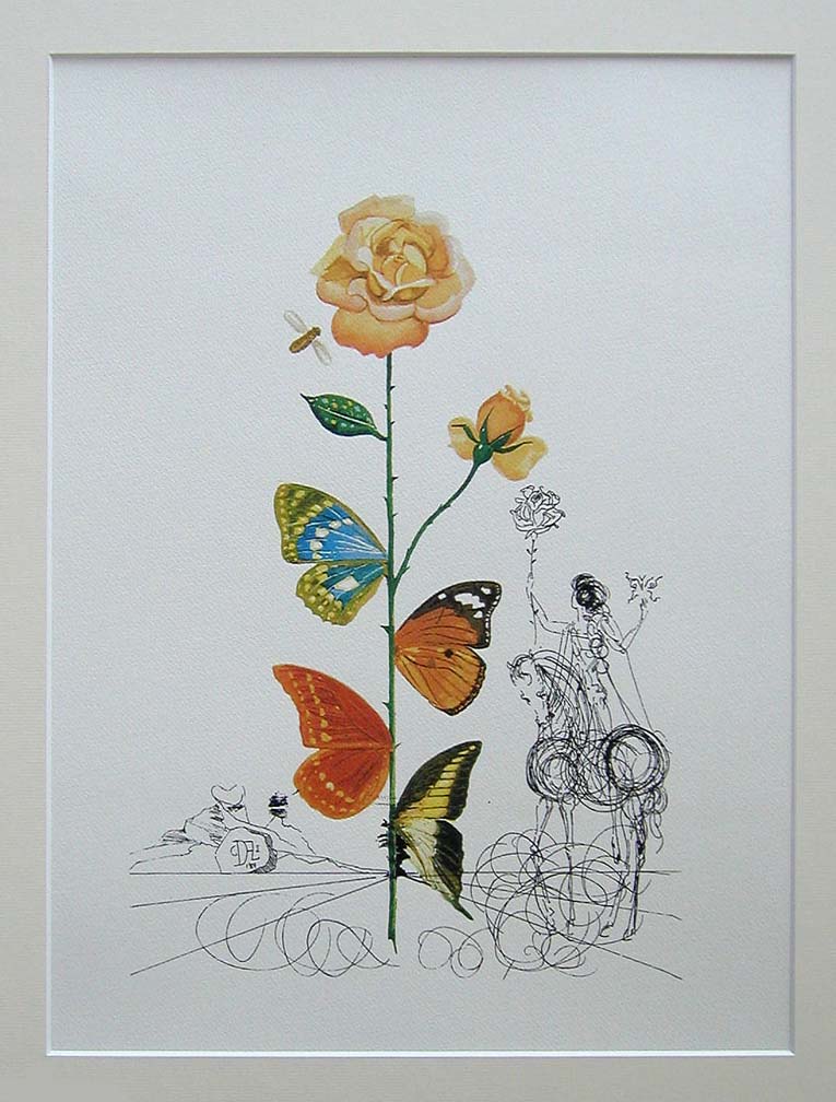 DALI Salvador Flordali RÓŻA '231