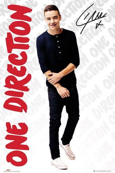 One Direction Liam Payne - plakat 61x91,5 cm