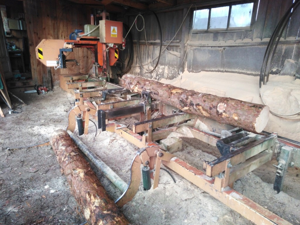 Trak tasmowy