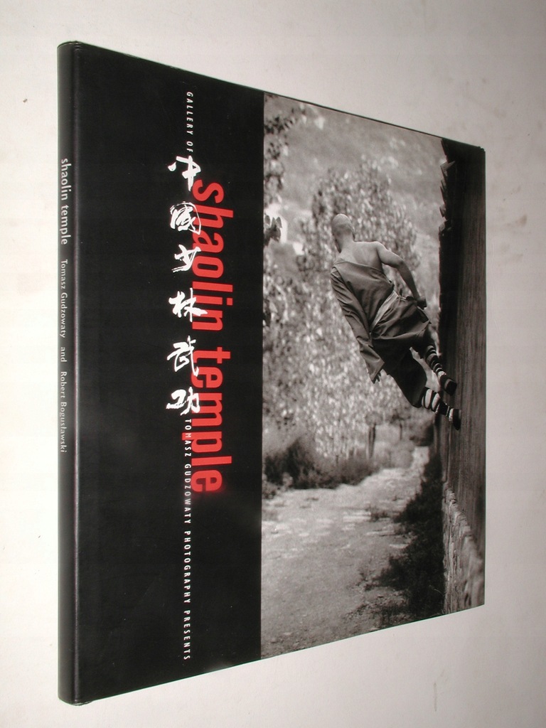 SHAOLIN TEMPLE - Tomasz Gudzowaty (2003)