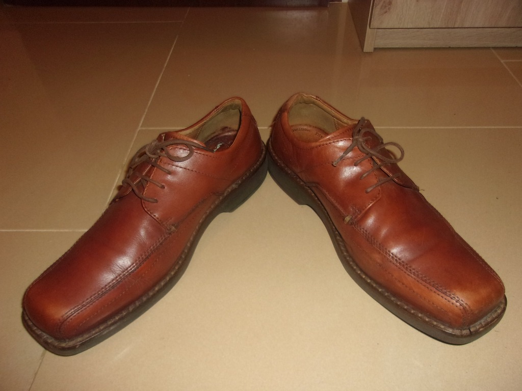 ecco light shock point