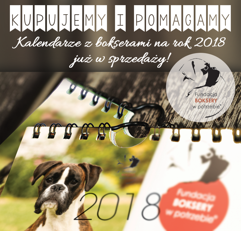 Kalendarz ścienny Boksery w Potrzebie 2018 