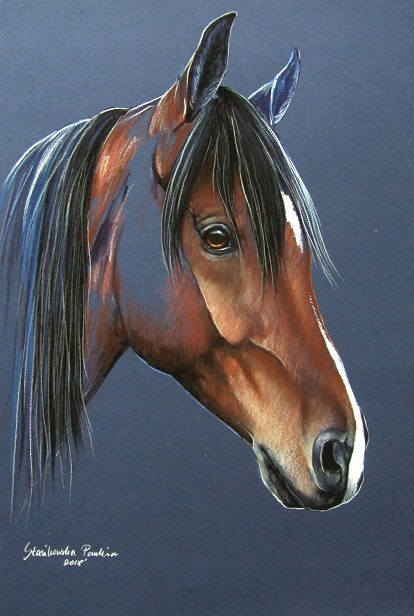 Portret KONIA 32x45cm *koń gniady*