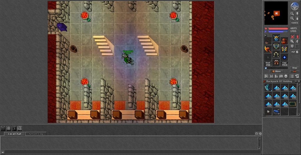 TIBIA Hexera OTS 454 EK 134 Axe + Itemy + 10kk
