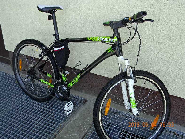 giant revel 4
