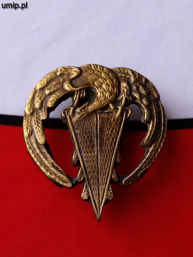 Odznaka pułkowa 9 Batalion Pancerny Lublin