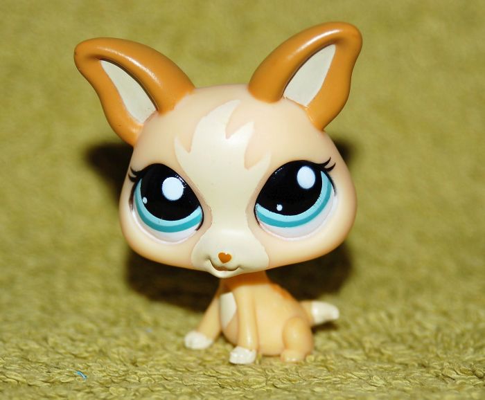 pies piesek CHIHUAHUA #1656 Littlest Pet Shop LPS
