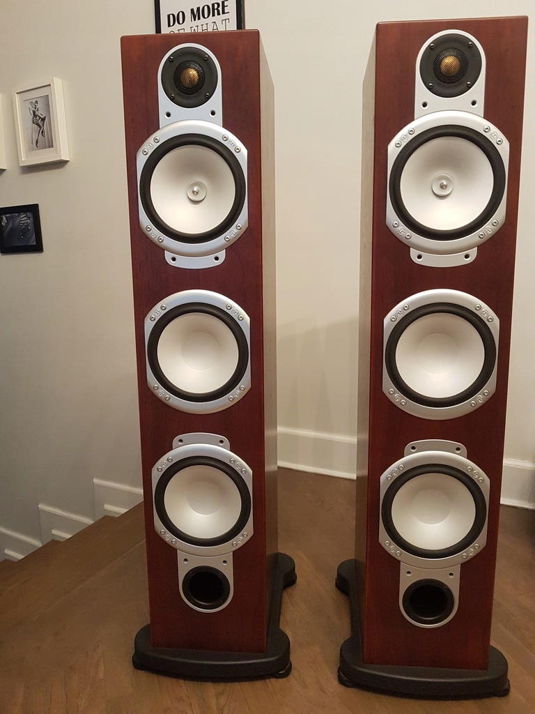 Monitor 2024 audio rs8