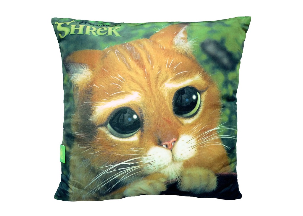 Poduszka 007 Shrek Kot Kotek Oczy Kocie 40x40 CAT