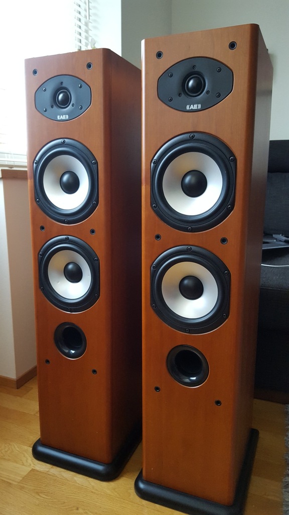 acoustic energy aesprit 309