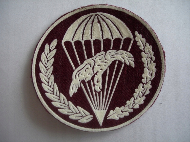 EMBLEMAT WOJSK POWIETRZNO-DESANTOWYCH