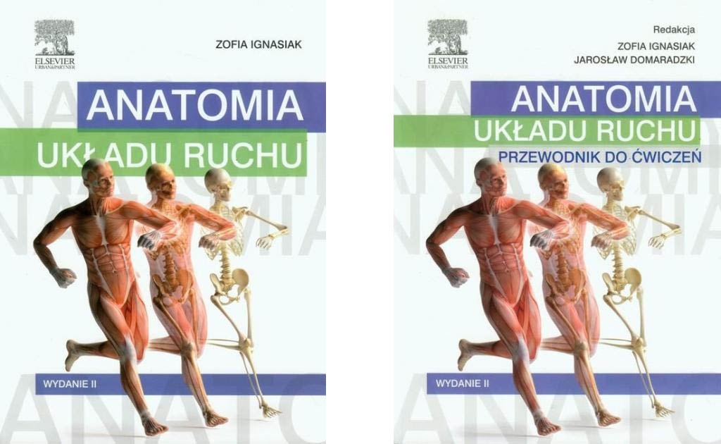 Anatomia układu ruchu + Przewodnik do ćwiczeń