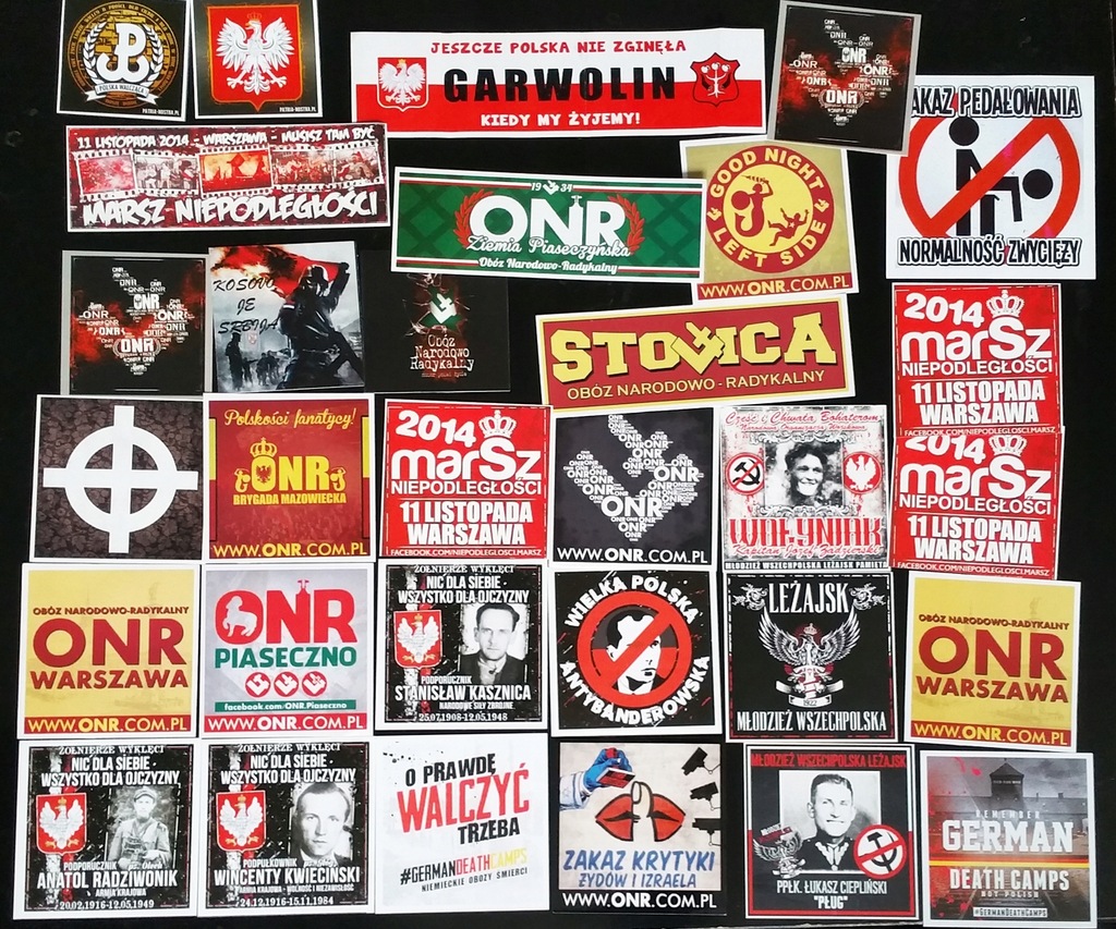 VLEPKI ONR NOP Marsz NIEPODLEGŁOŚCI Patriotyczne