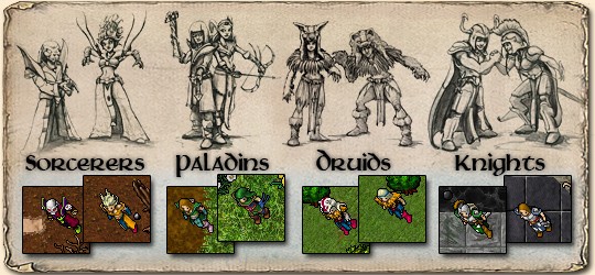 Tibia Postacie 112-229 LVL Losowe Konta Polecamy