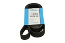 BELT WEDGE DAYCO MITSUBISHI CARISMA (DA_) photo 1 - milautoparts-fr.ukrlive.com