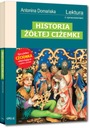 История желтого жука. Антонина Доманьска ГРЭГ