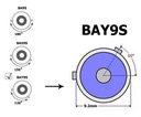 H21W LAMP LED BAY9S 12V CANBUS 320LM photo 8 - milautoparts-fr.ukrlive.com