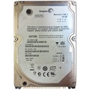 SEAGATE ST9160821A | FW 3.ALE | nezistené VsM