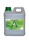 PROBIOTYK DLA GOŁĘBI 1L MIKROORGANIZMY