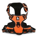 Шлейка для собак Front Line Truelove, оранжевая, XL