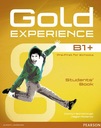 GOLD EXPERIENCE B1+ Руководство+MultiROM