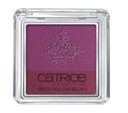 НОВЫЕ многоцветные румяна Catrice C01