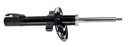 АМОРТИЗАТОР RENAULT ПЕРІД SCENIC/GRAND II 03-L/P  (14766876552) фото min 16