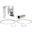 PISTON COMPLETE SET WSM YAMAHA RA700 + 1.00MM photo 1 - milautoparts-fr.ukrlive.com