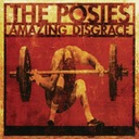 THE POSIES Amazing Disgrace 2LP