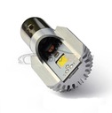 LED žiarovka BA20D 10V-80V, H6, S2, 960lm Typ S2 / BA20d