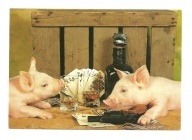 Pocztówka - Świnki i gra w karty / poker ...