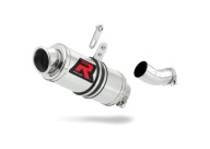 Выхлоп dominator gp i tuono v4 r aprc low level фото, цена