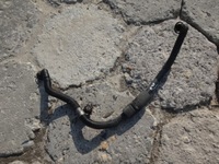 фото thumb №1, Труба трубка napowietrzacza bmw 7 e38 728 i m52tu