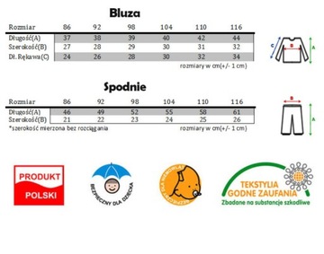 Piżama DINOZAUR 104