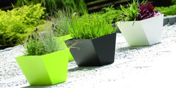 Чехол для цветочного горшка Tubus Case DTUC6CAN + system