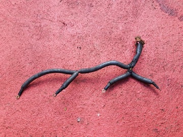 фото thumb №1, Электропроводка свеча master ii movano 3.0 dci zd3