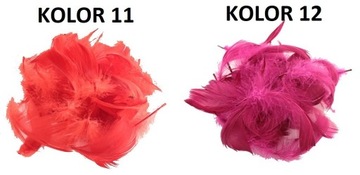PIÓRA PIÓRKA MIX 25 SZT PIÓRO DEKORACYJNE 23xKOLOR