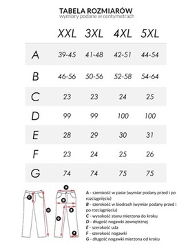 Sportowe Spodnie Dresowe Damskie Bawełna Trening RENNOX 117 5XL/30 stalowe