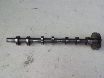 фото thumb №1, Audi vw 3.0 tdi вал розподільний вал 059109022gc