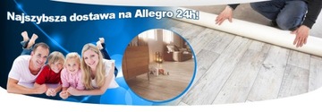 Wykładzina Dywanowa Dynasty 2 3 4 5 Szycie Gratis