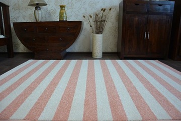 Ковер 160х220 SCANDINAVIAN PINK STRIPES SK #GR2568