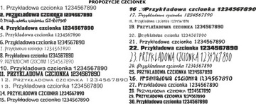 ЖЕНСКАЯ ФУТБОЛКА С ПРИНТОМ, A3 XXL принт